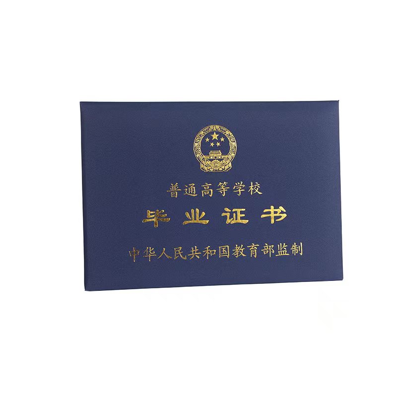 成功案例展示