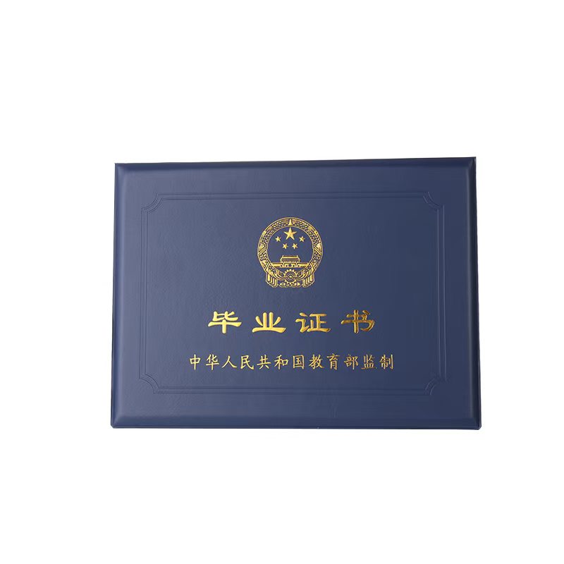 公司团队